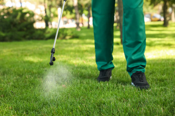 Best Affordable Pest Control Services  in Westminster, CO