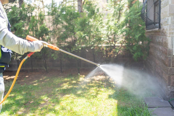 Flea Control Services in Westminster, CO